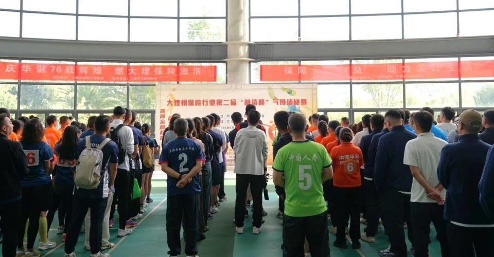 lnuZz, 裁判员代表